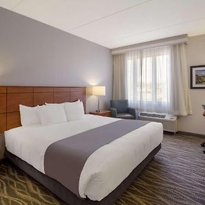 King Room Disability Access